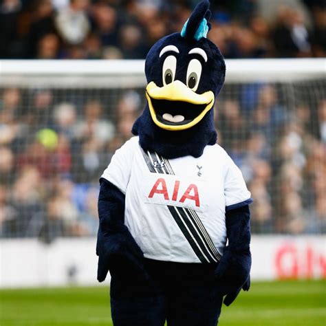 This Seasons Premier League Mascots Ranked