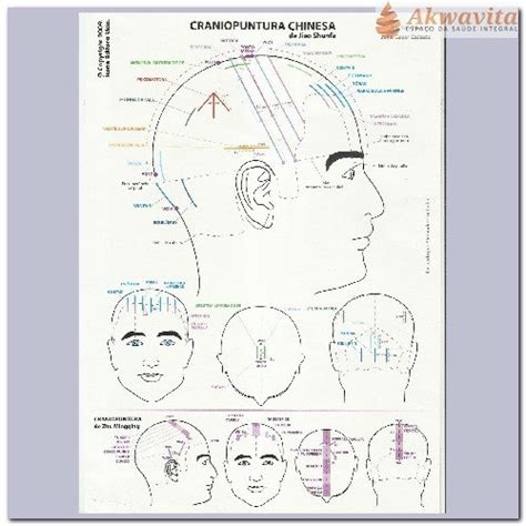 Mapa De Craniopuntura Chinesa E Japonesa Dr Wu Plastificado Sogo