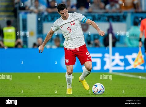 Doha Qatar Th Nov Robert Lewandowski Of Poland During The