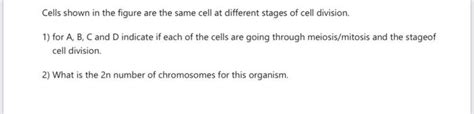 Solved Cells shown in the figure are the same cell at | Chegg.com 