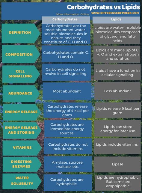 Difference Between Carbohydrates And Lipids Compare The Difference