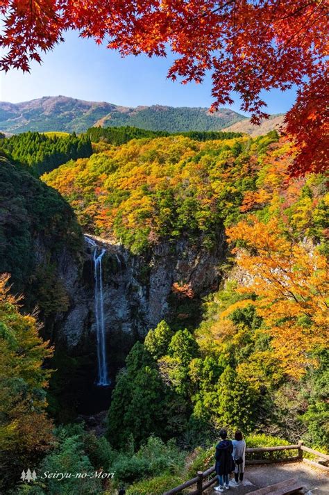 福貴野の滝（紅葉） 清流の森 ～九州の滝と風景～