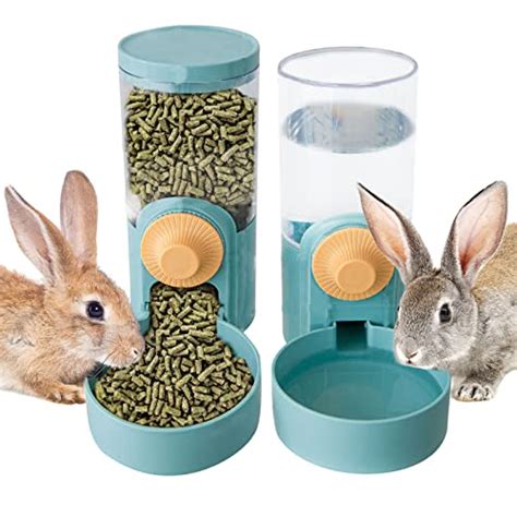 Top Best Automatic Waterers For Rabbits Keep Your Pet Hydrated