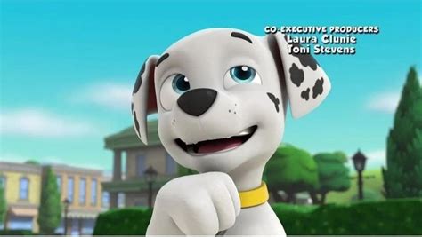 Pin By Randall Alexander On Paw Paw Patrol Pups Paw Paw Patrol