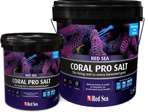 Red Sea Coral Pro Salt Meersalz 7 Kg In Red Sea