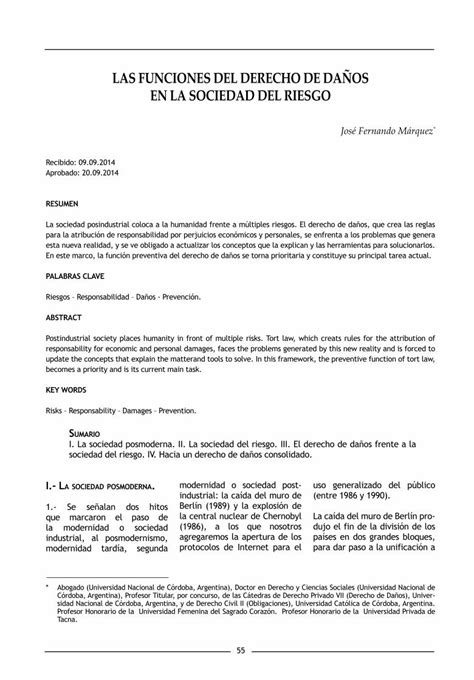 Pdf Las Funciones Del Derecho De Da Os En La Sociedad Del Riesgo