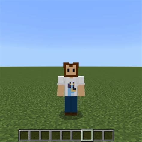 Got A New Minecraft Bluey Skin Rbluey