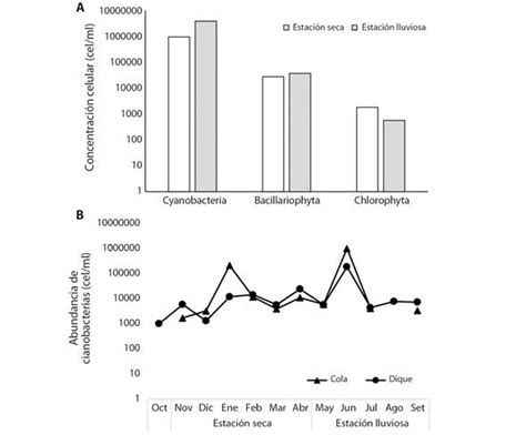 Distribución Espacio Temporal De Cianobacterias Planctónicas Y Factores