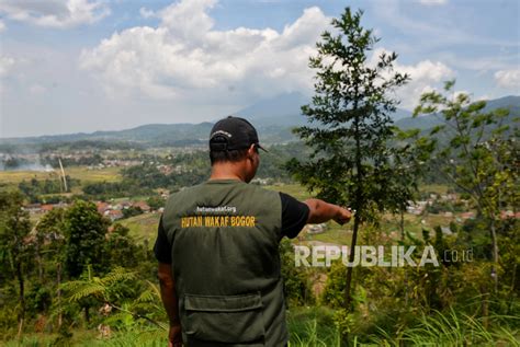 Inisiatif Wakaf Hutan Jadi Solusi Pendanaan Inovatif Perubahan Iklim