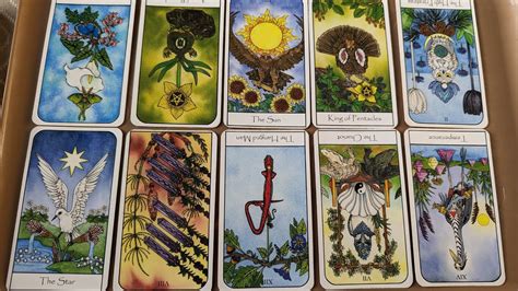 Tropical Cyclone Herman Tarot Reading Youtube