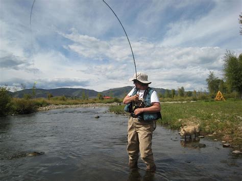 Trout Stream Fishing Tips How To Fly Fish In Small Creeks And Streams