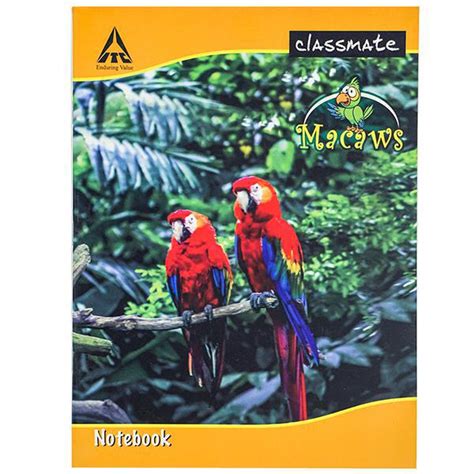 Buy Classmate Square 1 Cm Notebook 24 Cm X 18 Cm 120 Pages Online At Best Price In India