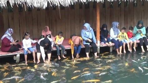 Healing Gratis Ada Di Kuningan Rasakan Sensasi Kolam Terapi Ikan Ada