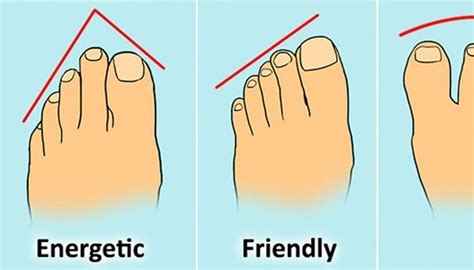 Heres 13 Types Of Toes And The Fascinating Clues They Reveal About