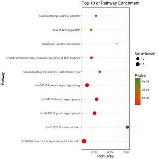 Bubble Chart Of The Top Of Kegg Pathways Of Overlapping Genes