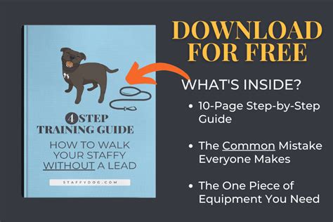 FREE STAFFY TRAINING GUIDE: The 4-Step Guide to Walking Without a Lead