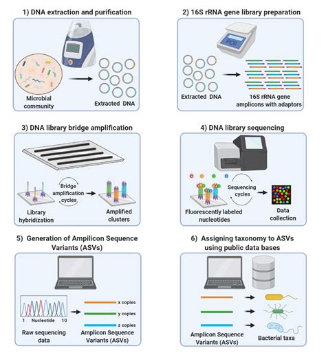 16S RRNA Analysis Helmholtz Centre For Environmental Research