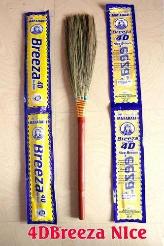 Plastic Mst Maharani D Breeza Nice Grass Brooms At Rs Piece In