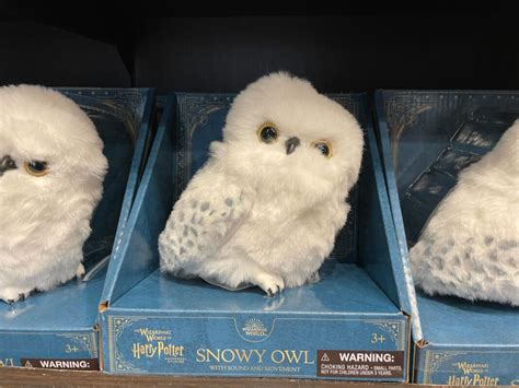 What Is Owl In Harry Potter At Rose Thyer Blog