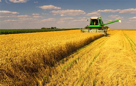 U.S. Winter Wheat Harvest Forecast Improves