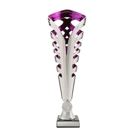 Cabrera Cup Silver And Purple Sproule Trophies Corporate Awards