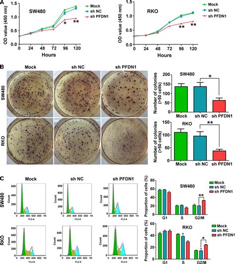 Downregulation Of Pfdn Inhibits Cell Proliferation Colony Formation