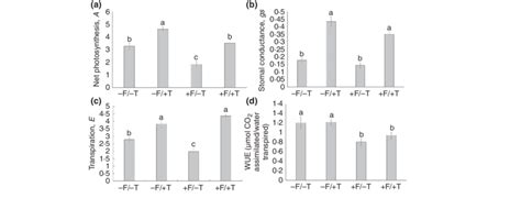 Net Photosynthetic Rate A A Stomatal Conductance G S B