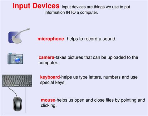 Computer Quiz Types Of Input And Output Devices Of 49 Off