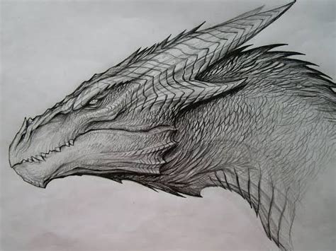 WoW really love this sketch Desenho de dragão Dragões Dragão desenho