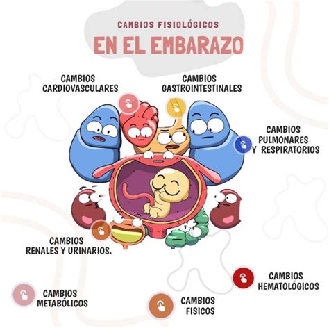 CAMBIOS FISIOLOGICOS EN EL EMBARAZO