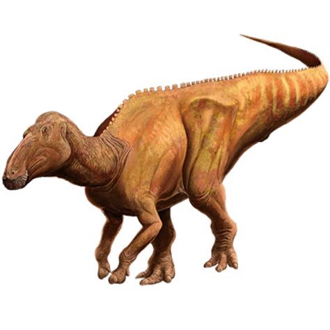 Edmontosaurus | Prehistoric Wiki | Fandom