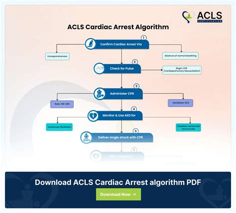 Acls Acute Coronary Syndromes Algorithm Acls Now