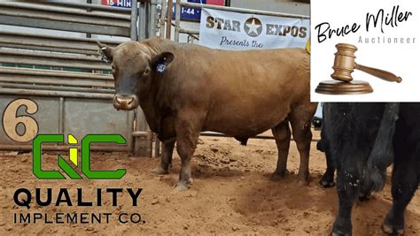 Production Bull Sale Benefit FFA Auction