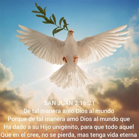 😂😅 | SantamaRia Marques | Facebook