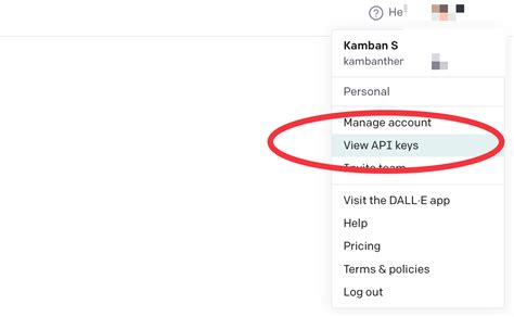 How Do I Get The Open API Key Killerinsideme