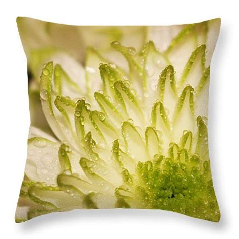 Good Morning Throw Pillow By Marnie Patchett Throw Pillows Marni