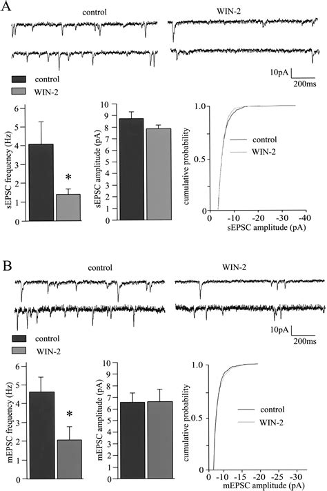 Activation Of The Cannabinoid Receptor Type 1 Decreases Glutamatergic