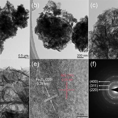 Ac Sem Images Of Fe O Nio Heterostructures And D Elemental Mapping