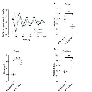 C Cardunculus Treatment Affects Circadian Gene Expression And