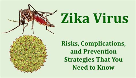 Zika Virus Risks Complications And Prevention Strategies That You