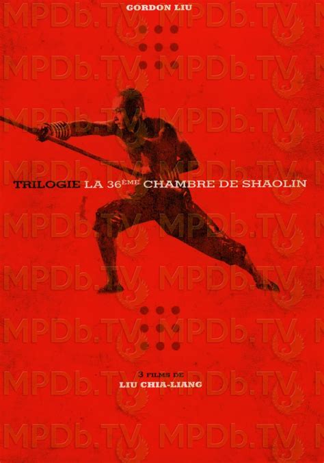 La 36ème Chambre de Shaolin La Saga