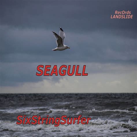 Seagull Single By Sixstringsurfer Spotify