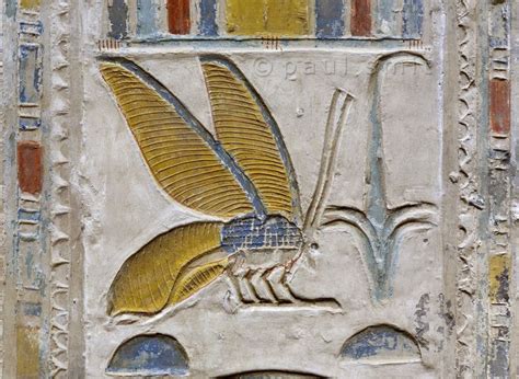 Egypt Temples Of Abydos Smit And Palarczyk Ancient Egyptian Art