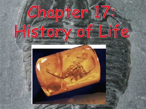 Ppt Chapter 17 History Of Life Powerpoint Presentation Free