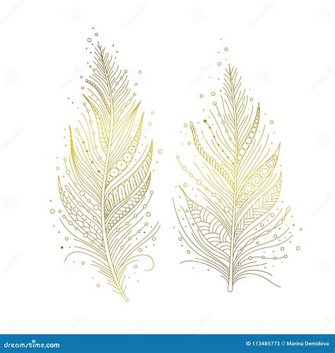 Golden feathers isolated stock vector. Illustration of india - 113485773
