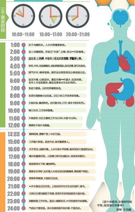 人體時間表 每日頭條