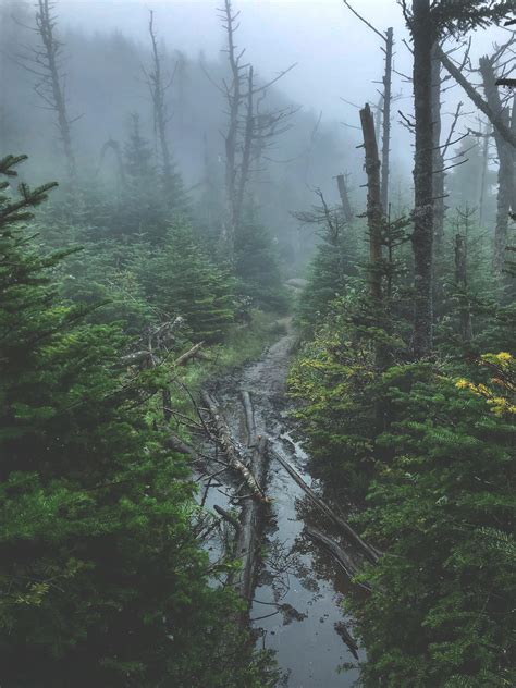 Missing even the cold, wet, and foggy days. High Peaks Wilderness, NY ...