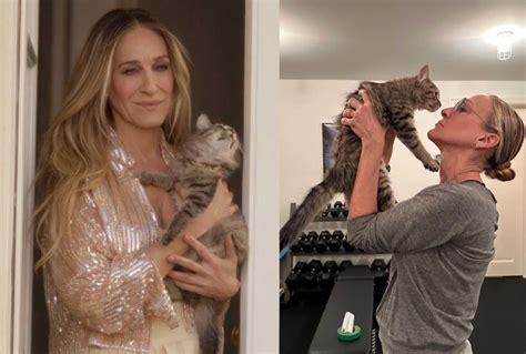 Sarah Jessica Parker Has Adopted Carrie Bradshaws Cat From And Just