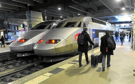 Chat écrasé par un TGV la SNCF condamnée à une amende de 1 000 Le