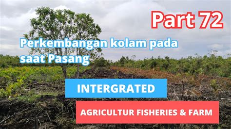 Pengelolaan Lahan Pertanian Pasang Surut Part Edisi Kondisi Kolam